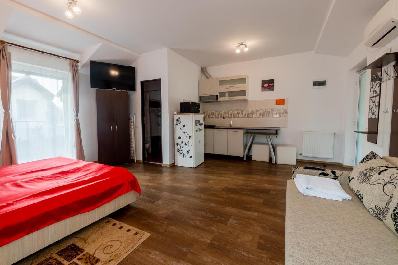 Nice & Cozy Apartments Тимишоара Экстерьер фото